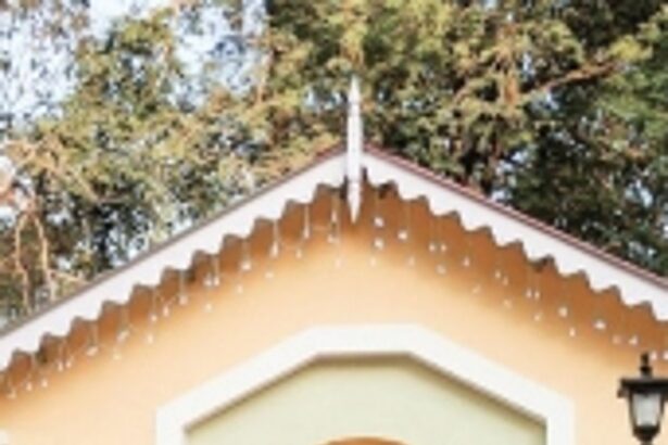 60 Years of Pallottine Mission in Goa