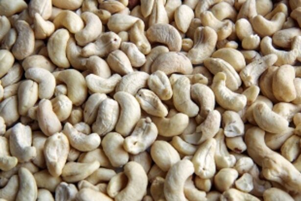 60 kg of spoiled and unlabelled cashew nuts   destroyed