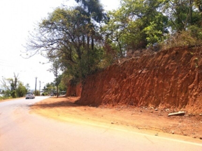 600 trees along Cortalim-Chicalim road to make way for widening 1 600 trees along Cortalim-Chicalim road to make way for widening