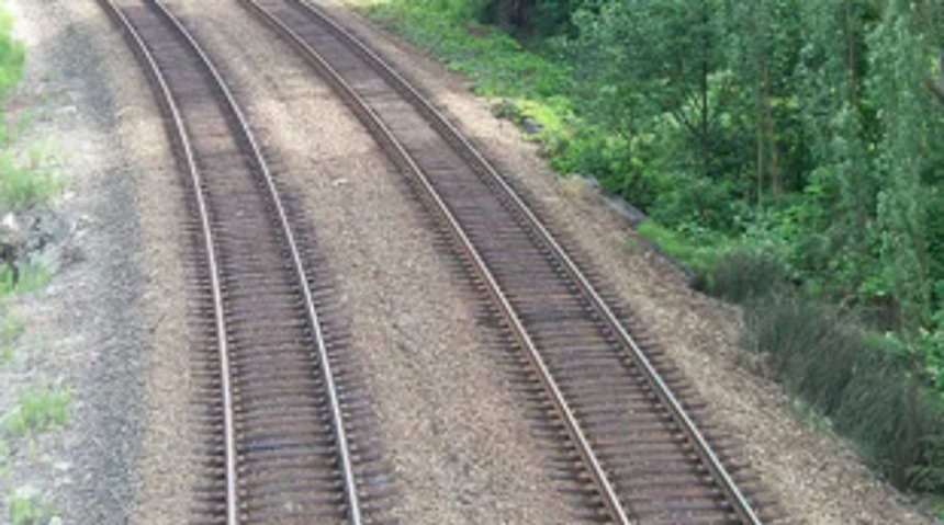 61 scientists appeal to reject railway track expansion in protected areas