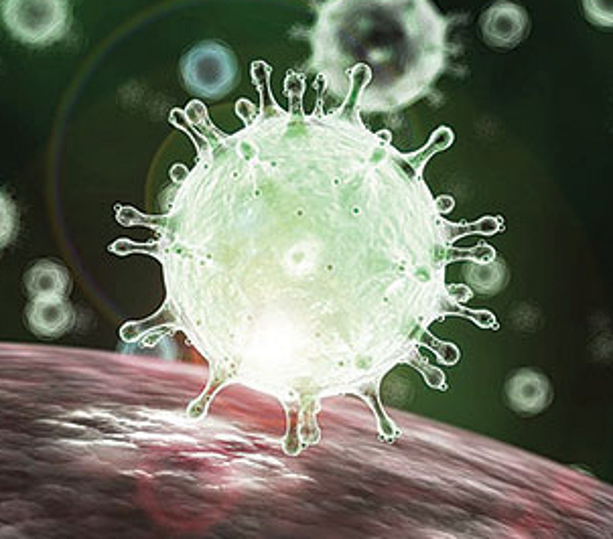 64 test –ve for   COVID-19 in Goa   on Sunday