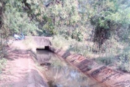 65-year-old Paroda canal in dire need of repairs