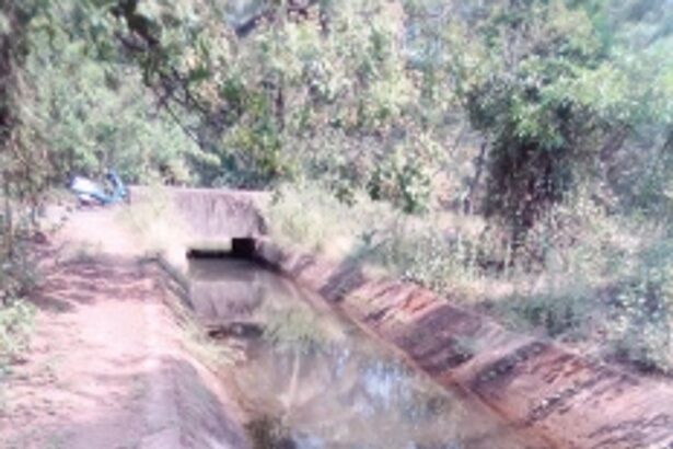 65-year-old Paroda canal in dire need of repairs