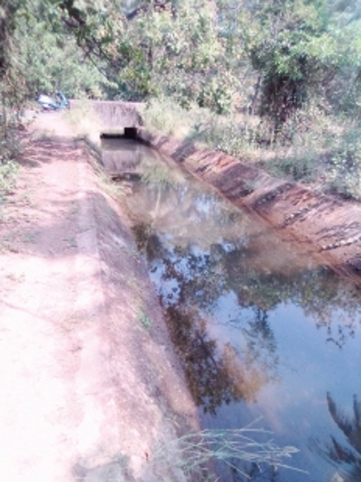 65-year-old Paroda canal in dire need of repairs
