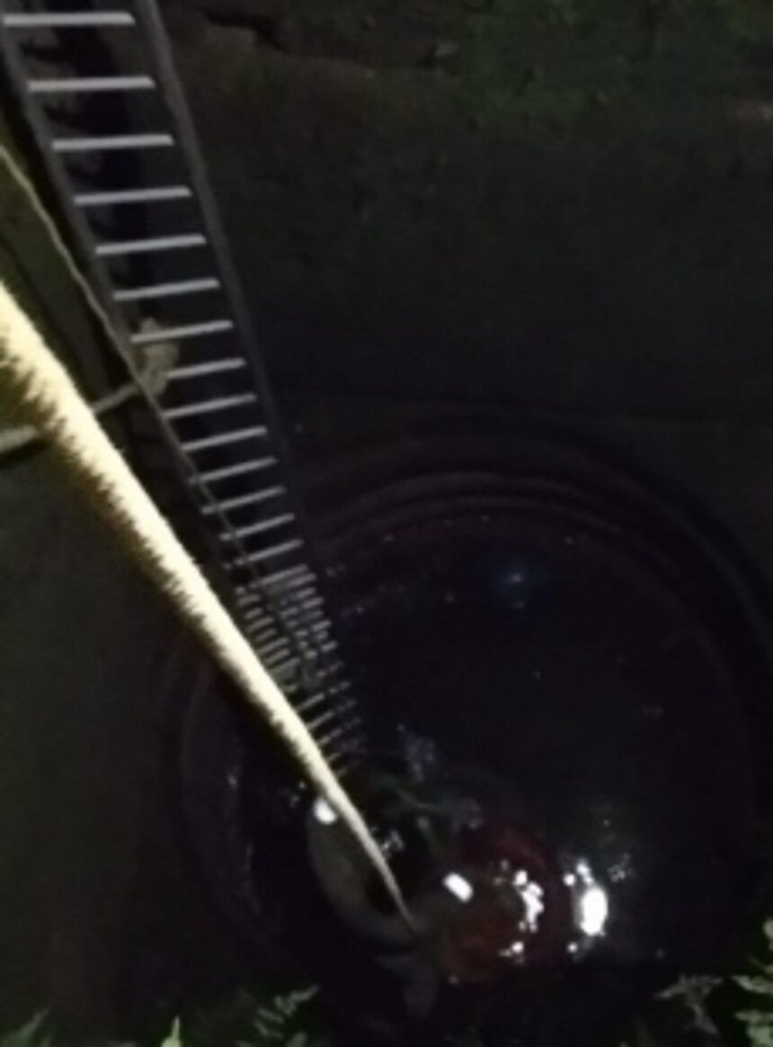 65 year old woman rescued from the well at Assagao