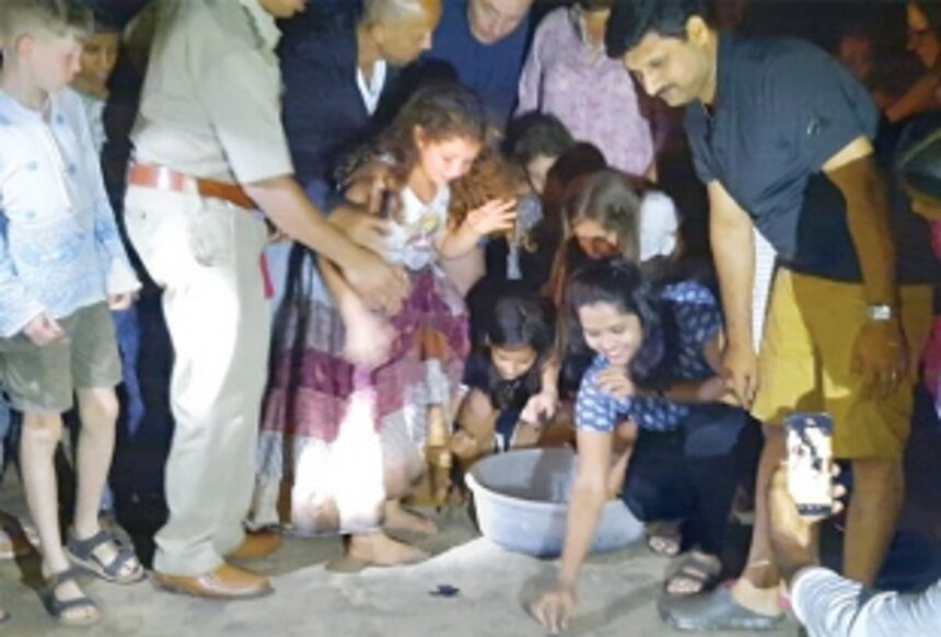 70 turtle hatchlings  released into sea