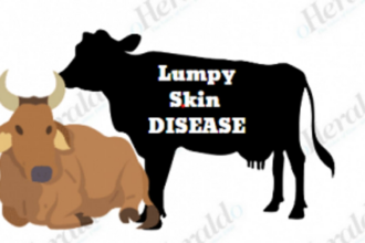 8 cases of lumpy skin disease in   livestock reported