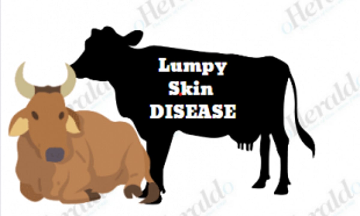 8 cases of lumpy skin disease in   livestock reported
