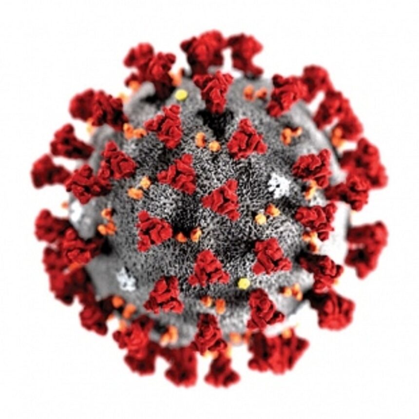 9 members of family in  Borim test Covid positive