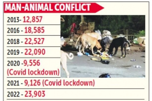 95,902 dog-bite cases reported in Goa over the last five-and-a-half years