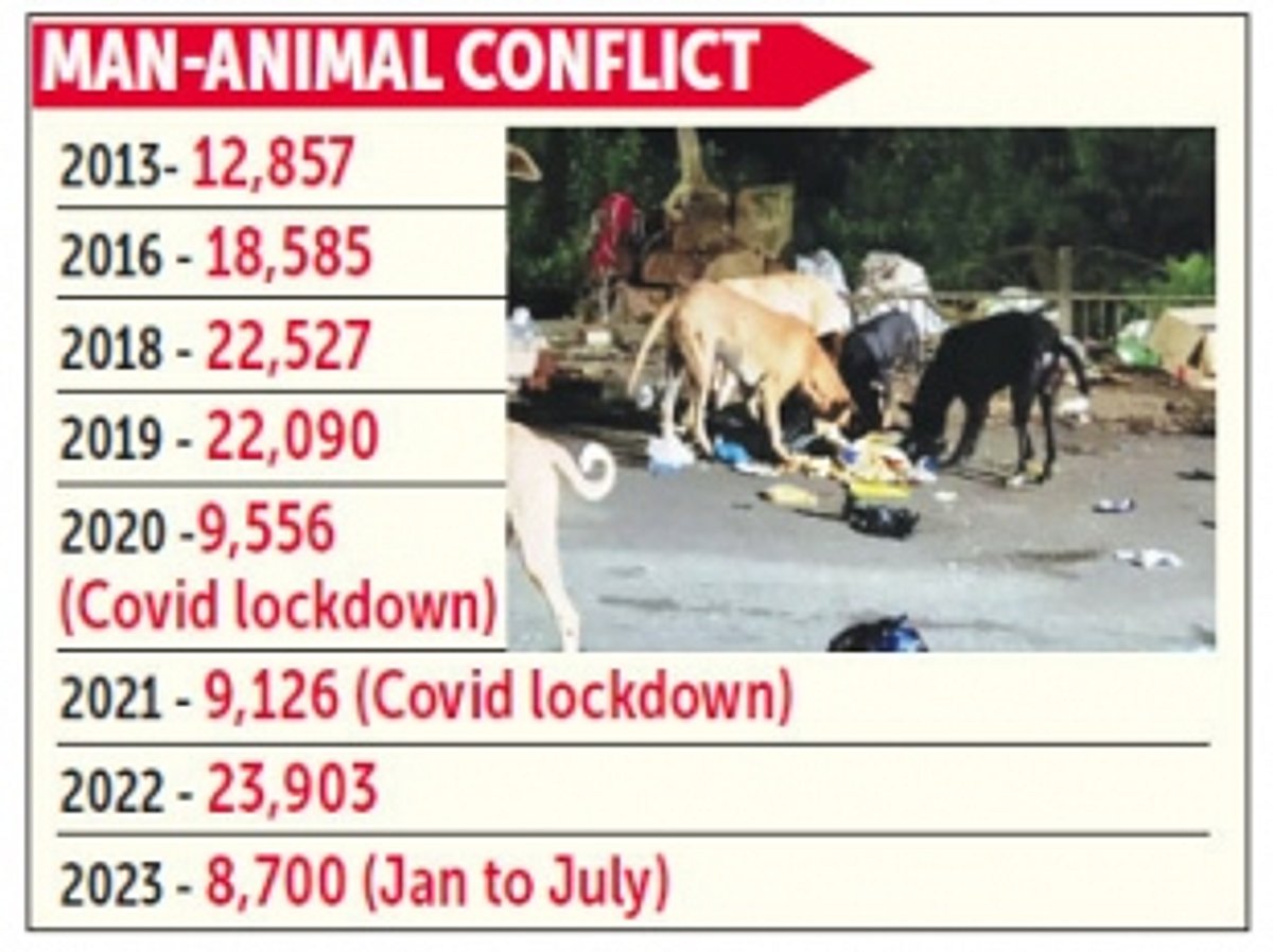 95,902 dog-bite cases reported in Goa over the last five-and-a-half years