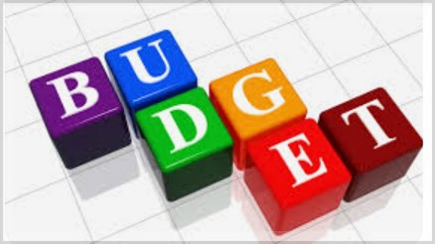 A Budget for the Middle Class or a Band-Aid for the Economy? 1 A Budget for the Middle Class or a Band-Aid for the Economy?