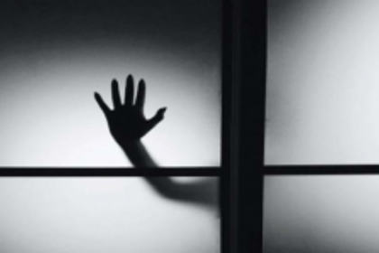 A Domestic   Thriller