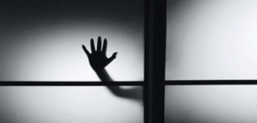A Domestic Thriller 1 A Domestic Thriller