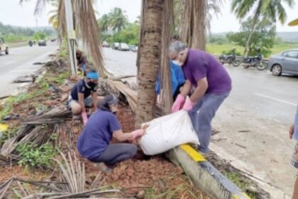 A Green initiative to save  Guirim’s iconic coconut trees