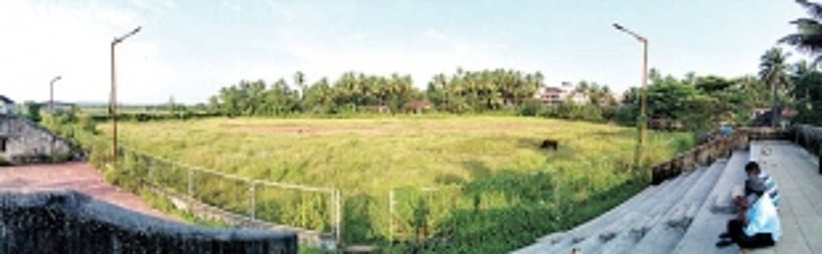 A SPORTSLOVER’S WILD DREAM PROJECT?