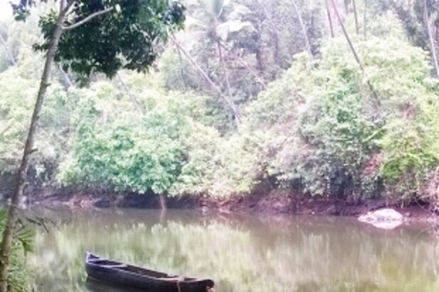 A bridge in Vazri to cut short distance to Tisk by one km