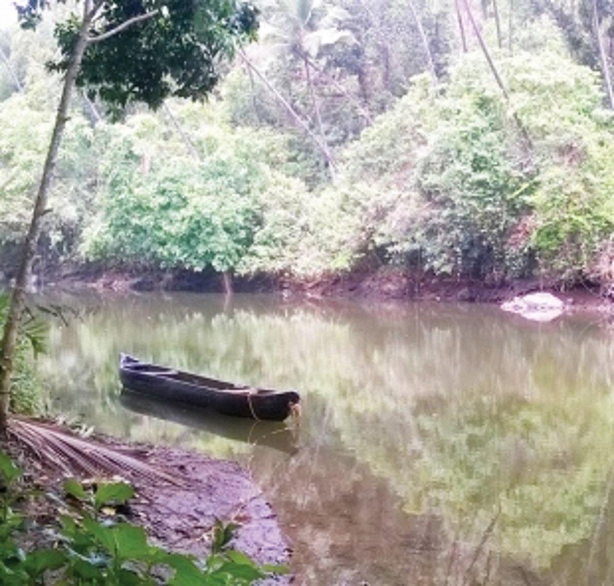 A bridge in Vazri to cut short distance to Tisk by one km