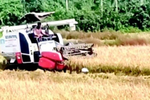 A clarion call from Nuvem to farmers not to abandon their fields