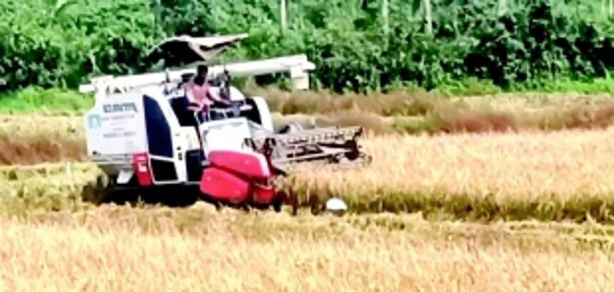 A clarion call from Nuvem to farmers not to abandon their fields