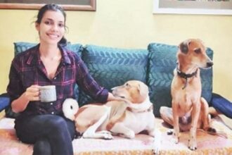 A day to celebrate our furry companions