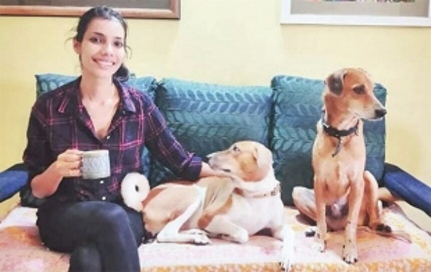 A day to celebrate our furry companions