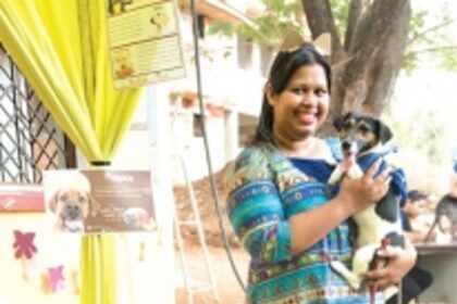 A dog’s life... certainly