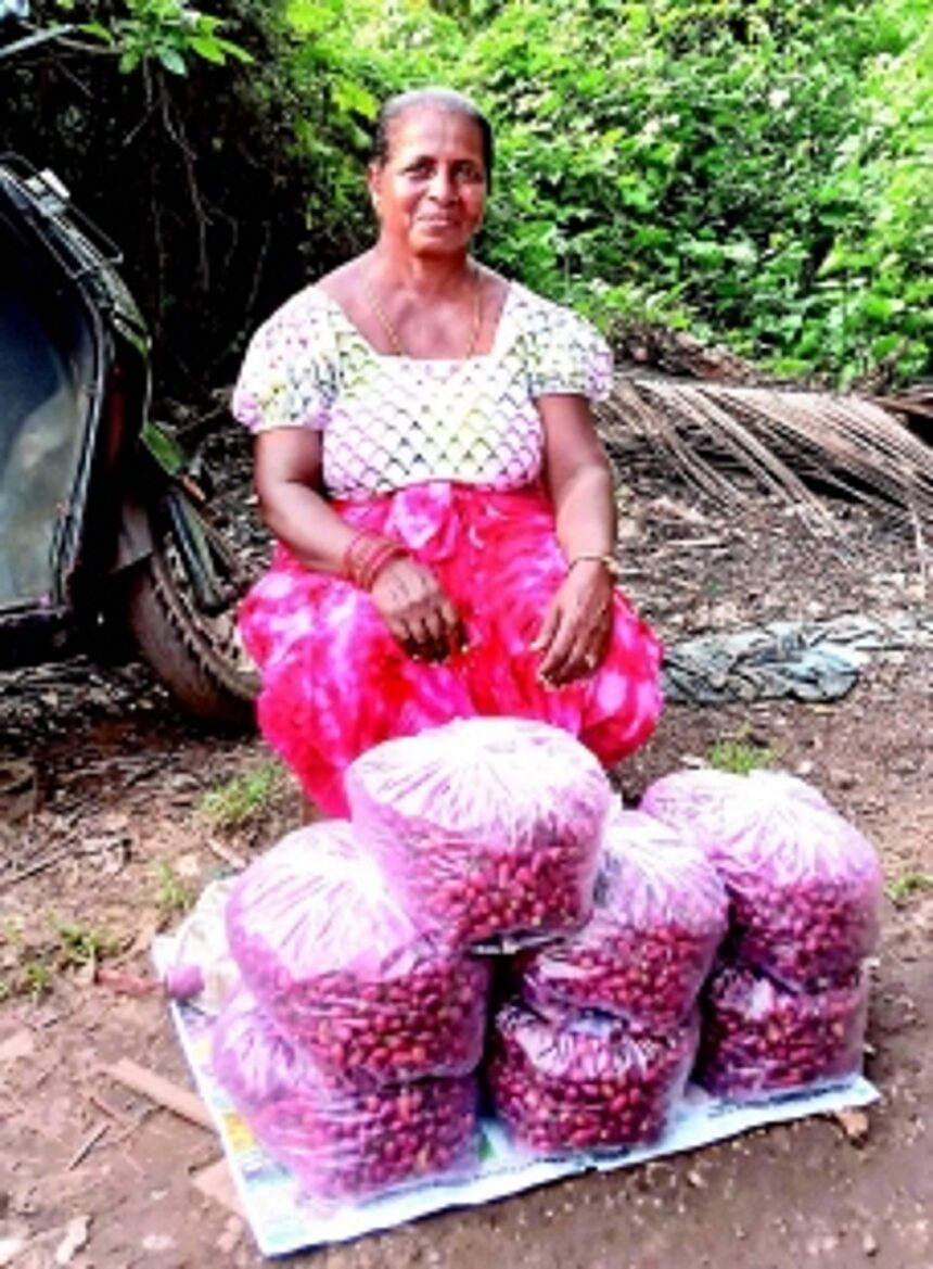 A fiery passion for agriculture: Caroline Fernandes cultivates chillies in urban Fatorda