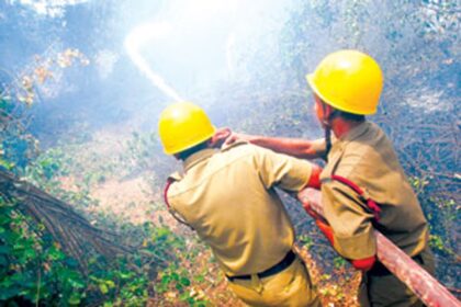A fire along the Miramar-Dona Paula bypass road