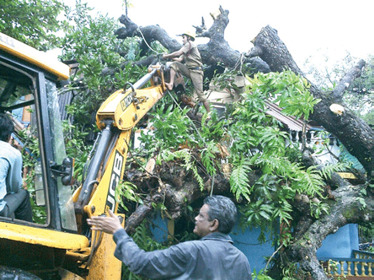 A fireman atop a JCB machine secures the tree during the salvage operation at Chinchwada-Chimbel.