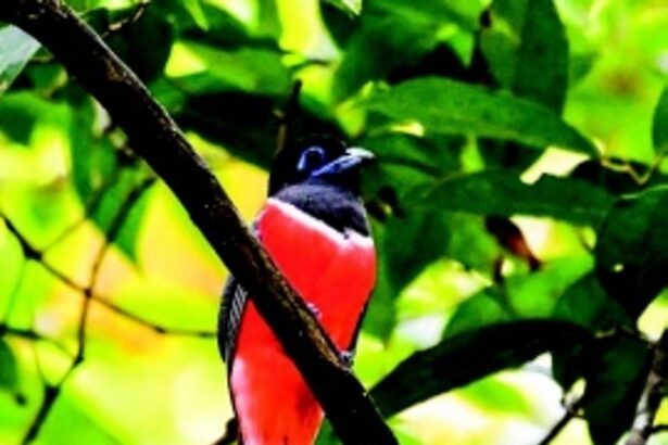 A grim picture indeed