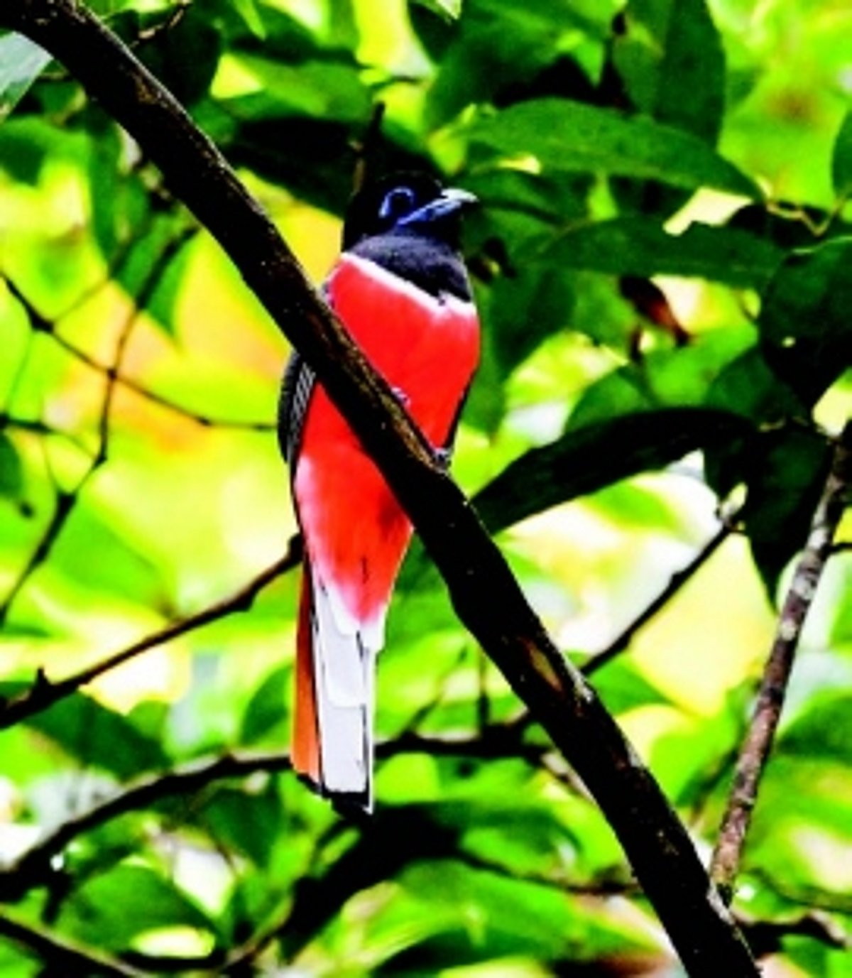 A grim picture indeed