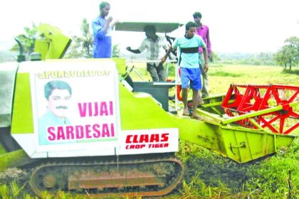 A harvester working in the fields of Fatorda sponsored by GPCC general secretary Vijay Sardesai.