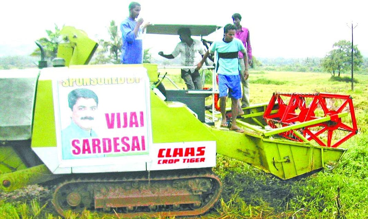 A harvester working in the fields of Fatorda sponsored by GPCC general secretary Vijay Sardesai.