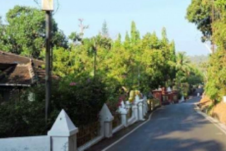 A heritage hotspot is falling to concretisation, tree by tree, brick by brick