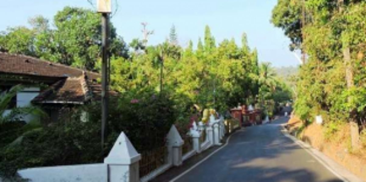 A heritage hotspot is falling to concretisation, tree by tree, brick by brick