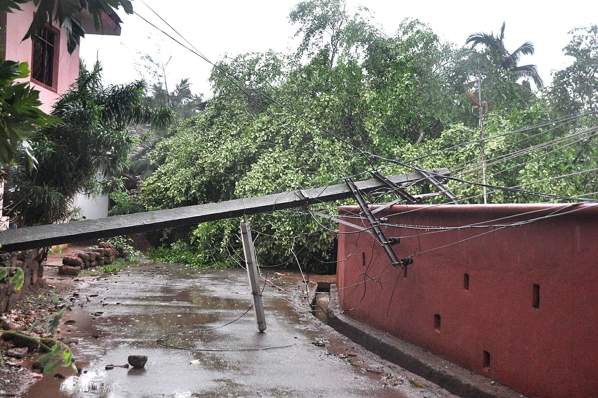 A huge tree uprooted at Bandh-Santa Cruz causing damage to two electricity poles leading to road blockade in the area.