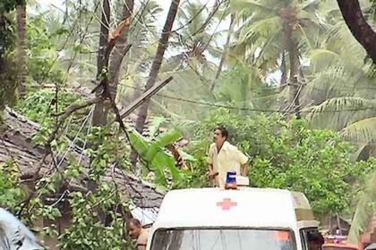 A man climbs on an ambulance in an effort to remove a branch entangled with the electricity cables.