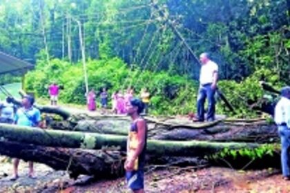 A matter of seconds: Students escape  jackfruit tree crash at Dhavalim