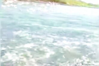 A mesmerizing spectacle as hundreds of sardines  take a leap onto Keri-Tiracol Beach