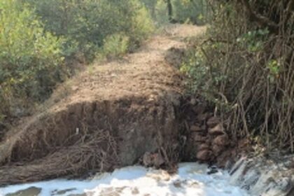 A month after repair, Marcaim  bhandara breached again