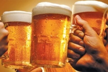 A new circus is in town!