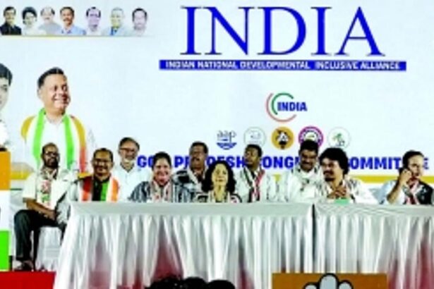 A pencil attracts 18% GST, while for diamonds it is only 5%: Viriato