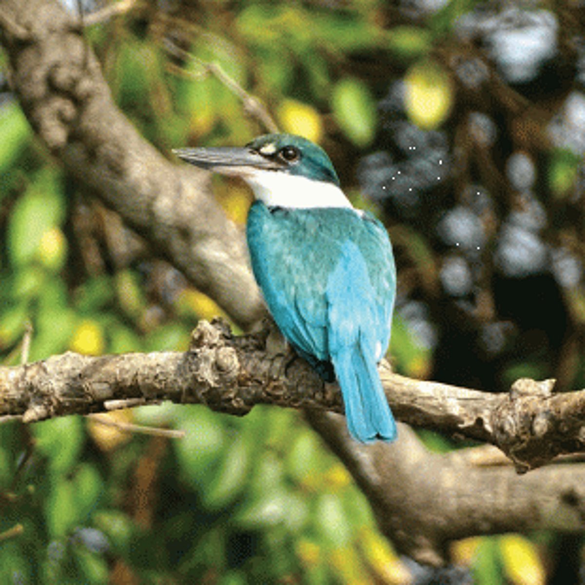 A photography workshop in the lap of nature
