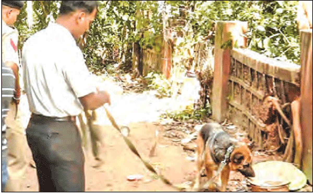 A sniffer dog was deployed to assist the cops to get some clues into the burglaries.