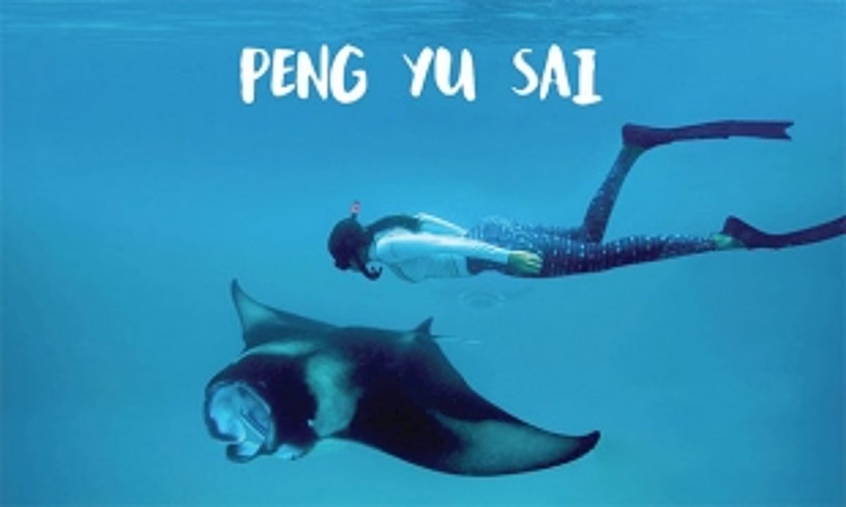 A transnational journey to save the Manta Rays