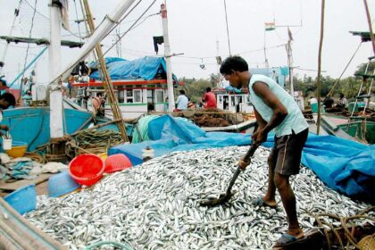 A trawler that returned with a big catch of sardines at the Cutbona fishing jetty.