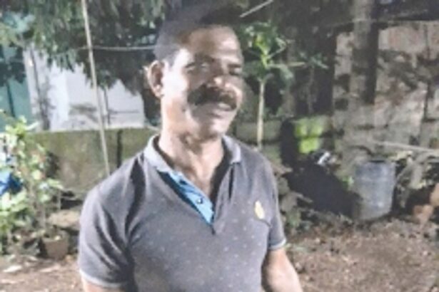 A vanishing tradition: Earnesto Fernandes’ earnest resolve to preserve toddy tapping