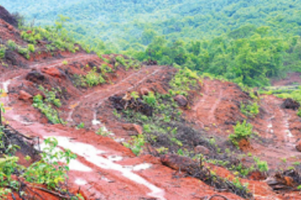 A veritable whiff of fresh air