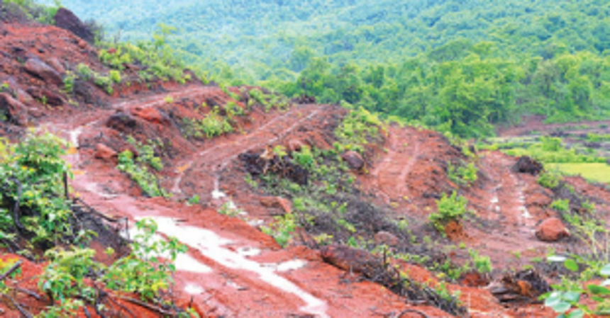 A veritable whiff of fresh air